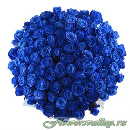 Букет 101 синяя роза. Фото 3