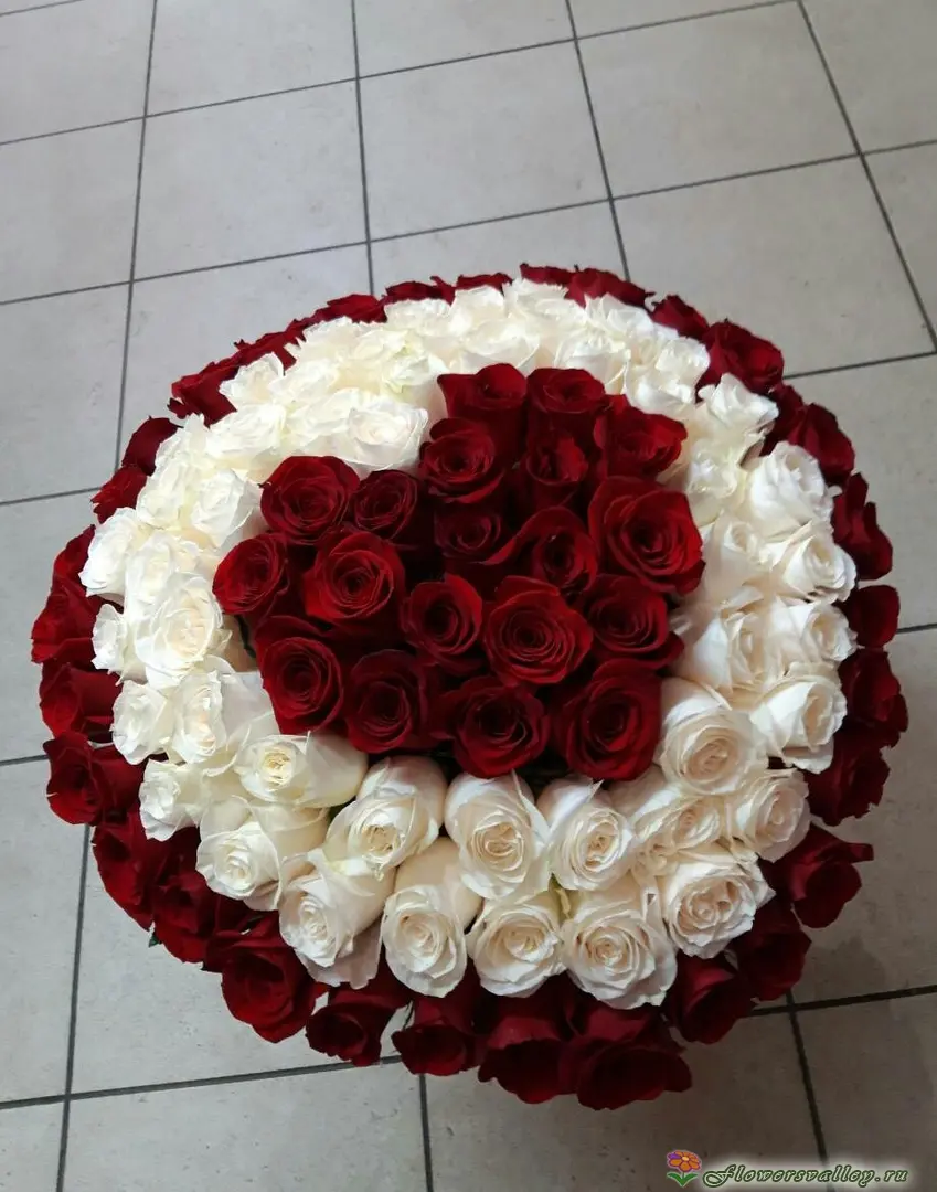 101 бело-красная роза сердцем в коробке
