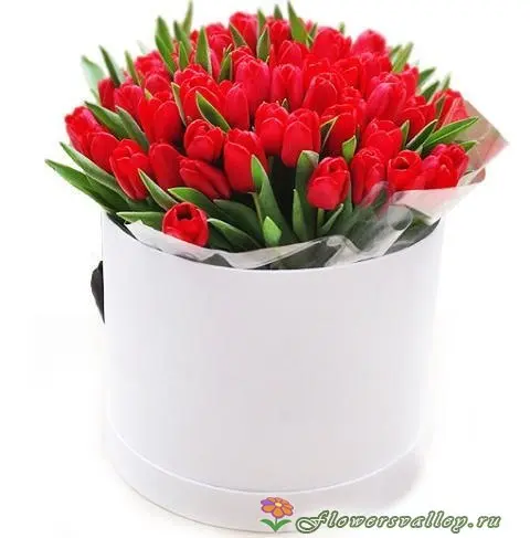 Шляпная коробка с 51 красным тюльпаном
