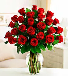 Букет из 35 красных розы сорт 