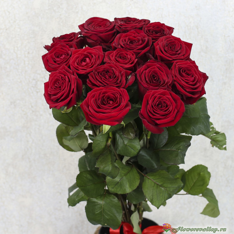 15 роз ред Наоми