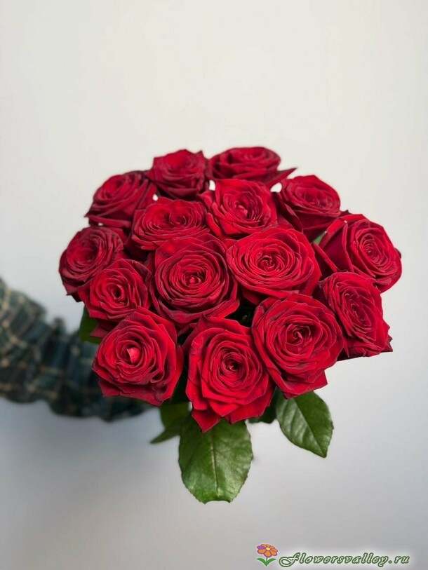 15 роз ред Наоми