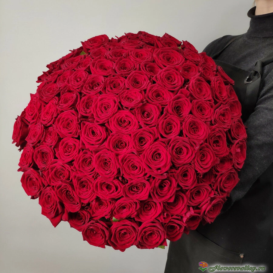 101 красной розы 