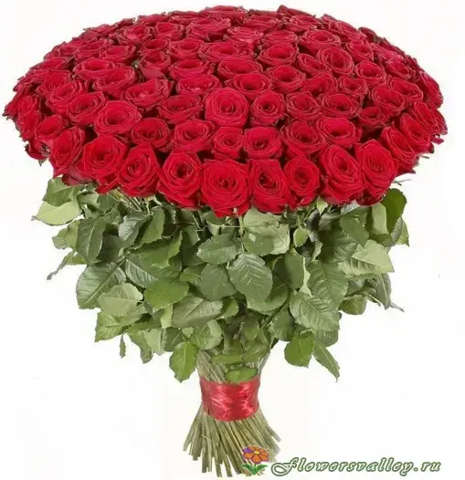 Букет из 101 красной розы сорт "Гран при" (пр-во Россия)