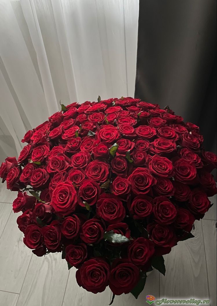 Букет из 101 красной розы сорт Ред Наоми