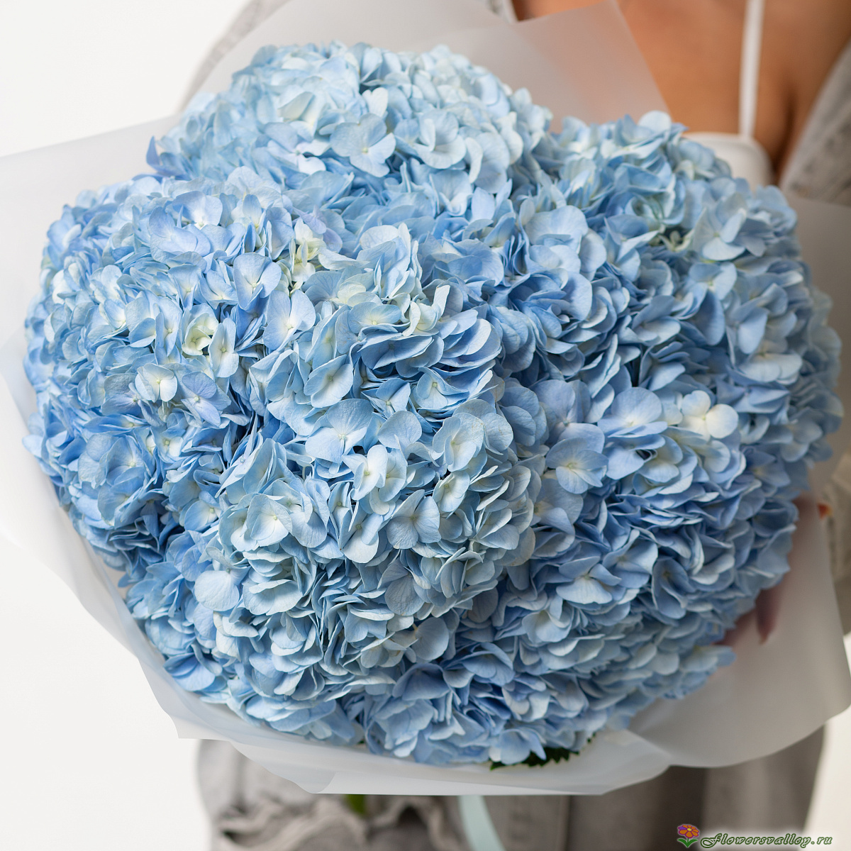 Букет из 5 гортензий голубых