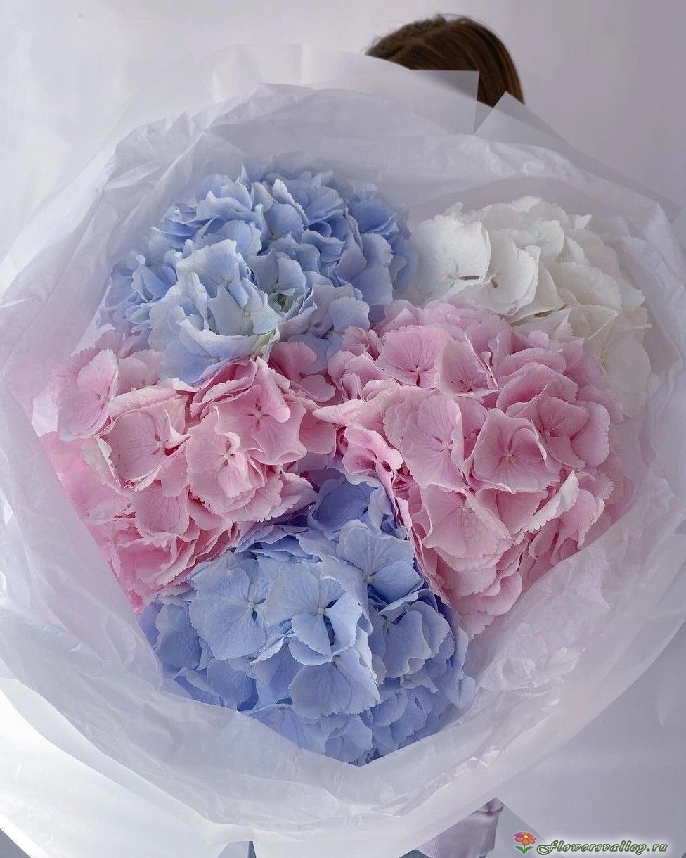 Букет из гортензий 5 шт.