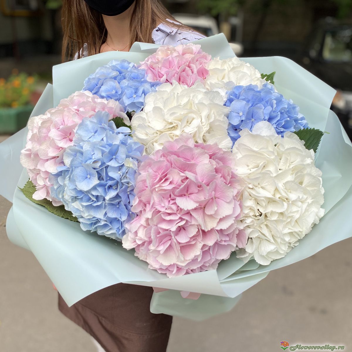 Букет из гортензий 9 шт.