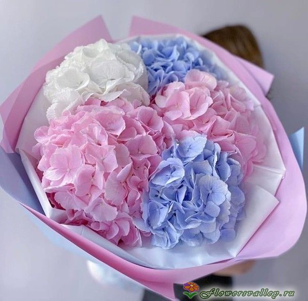 Букет из разноцветных гортензий