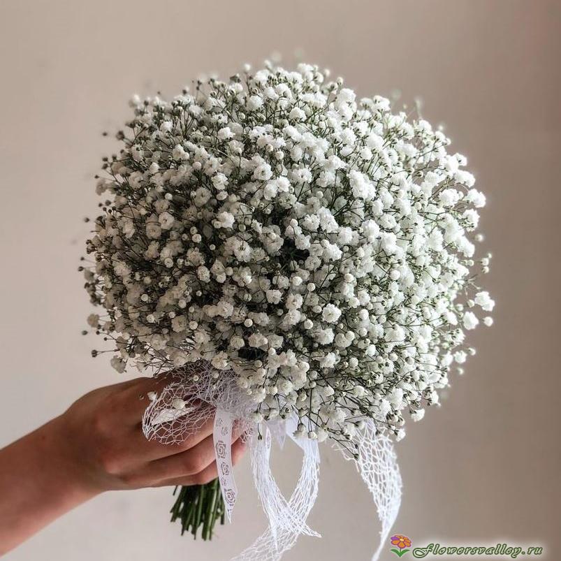 букет несты из гипсофил фото 5