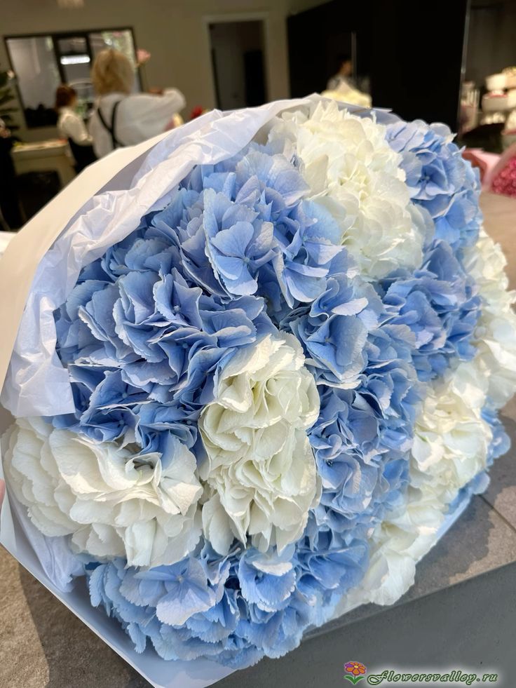 Букет из белой и голубой гортензии, 5 шт.