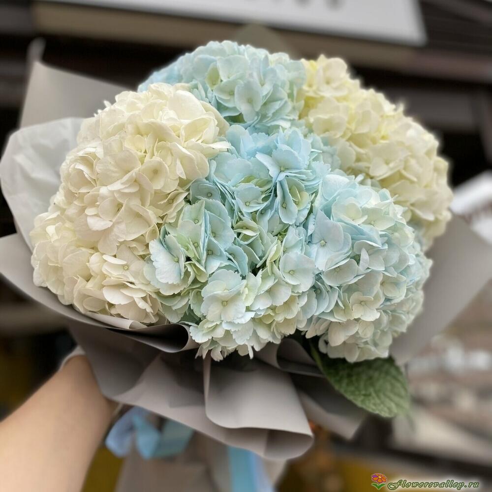 Букет из белой и голубой гортензии, 5 шт.
