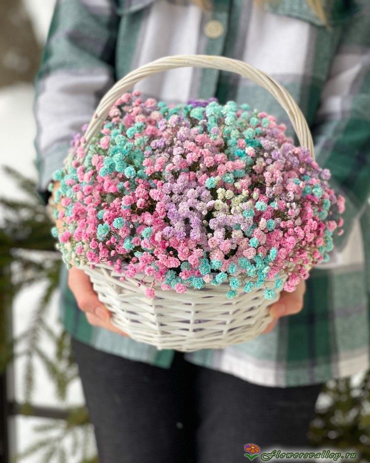 Корзинка из 11 радужных гипсофил