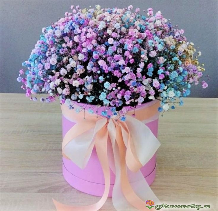 Композиция с радужной гипсофилой