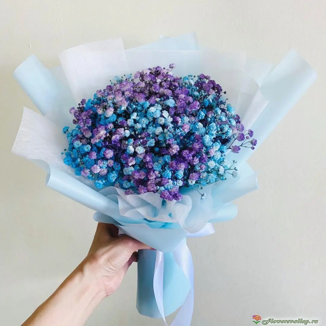 Купить букет из голубой и фиолетовой гипсофилы Екатеринбург 