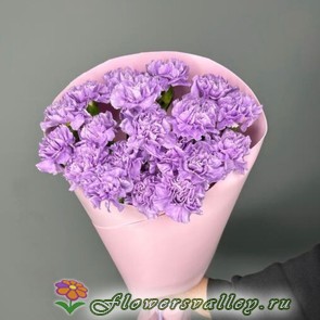 Букет "Любовный шторм" из гвоздик