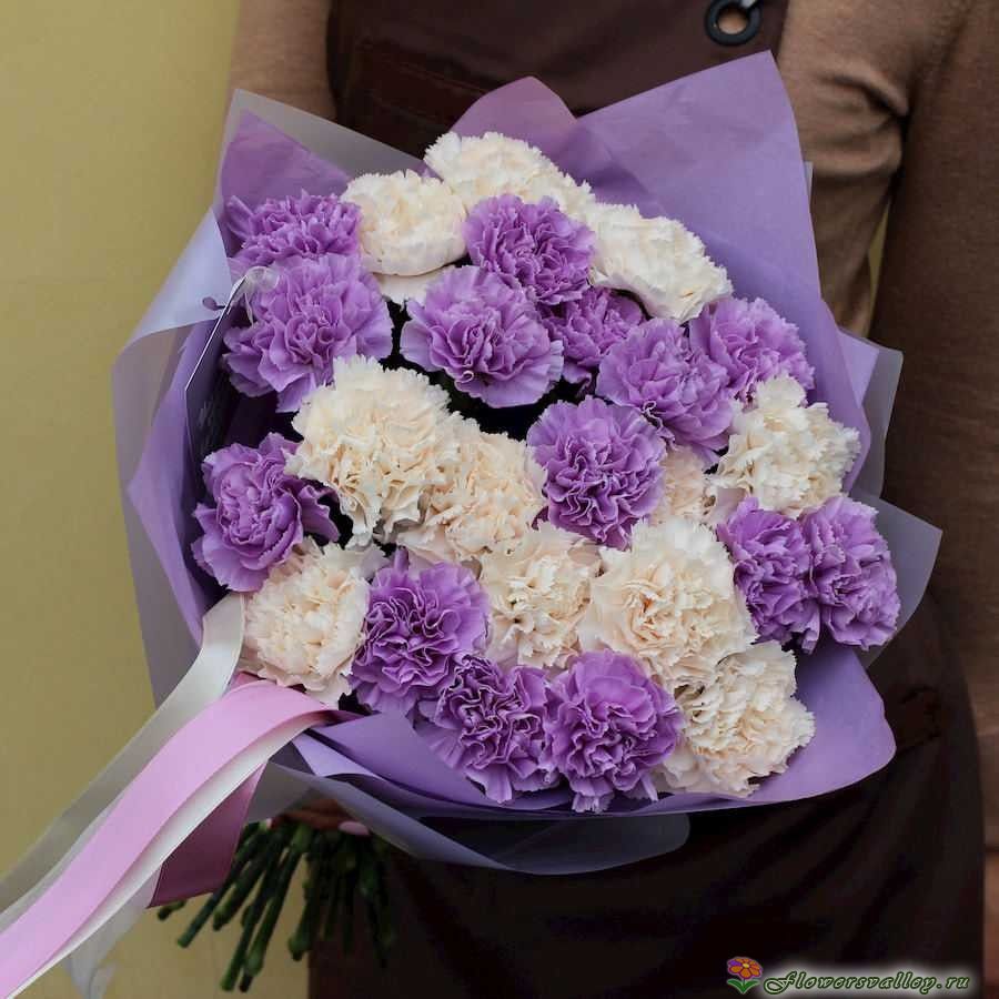букет с кремовой и фиолетовой гвоздикой