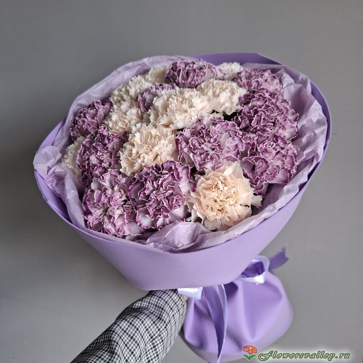 букет с кремовой и фиолетовой гвоздикой недорого