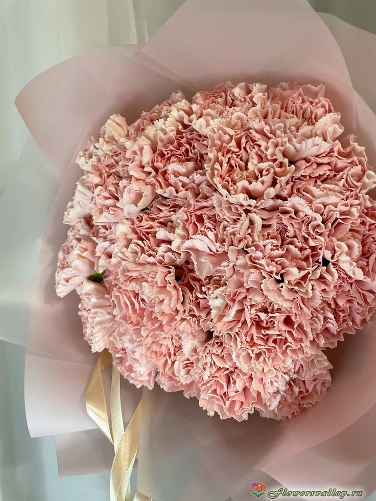 Букет из кремовых гвоздик