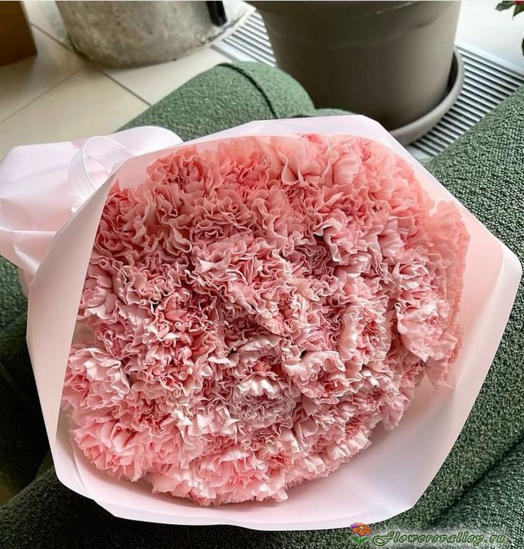 Букет из кремовых гвоздик