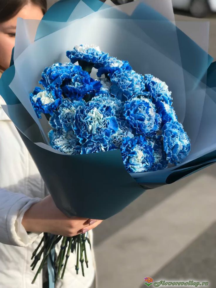 Букет из голубой гвоздики