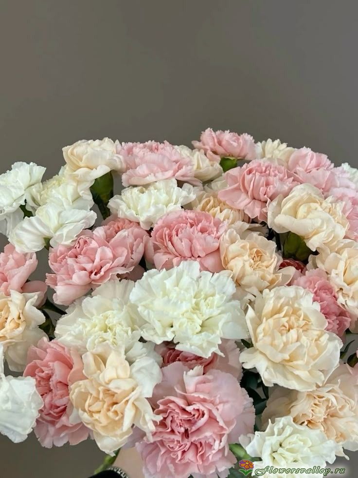 Букет из кремовой гвоздики