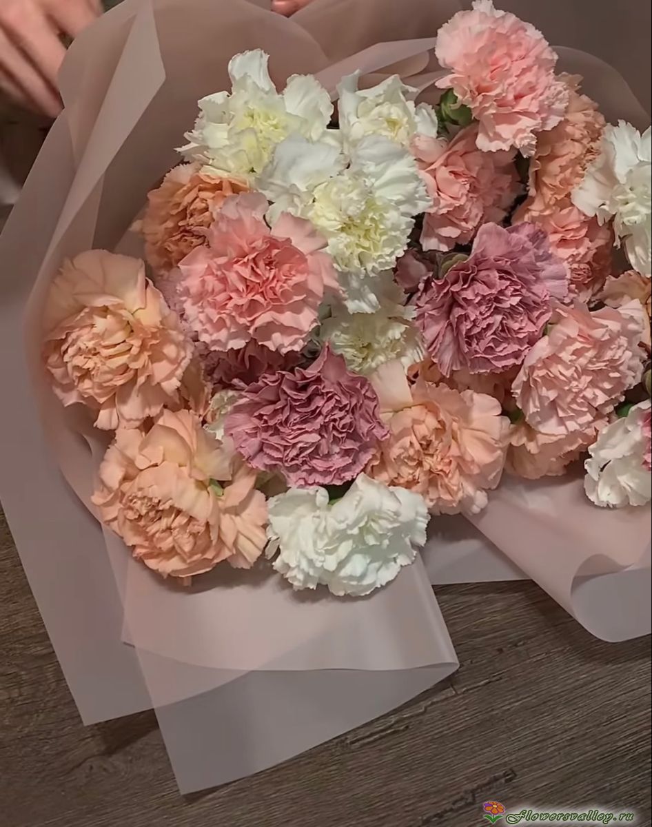 Букет из кремовой гвоздики