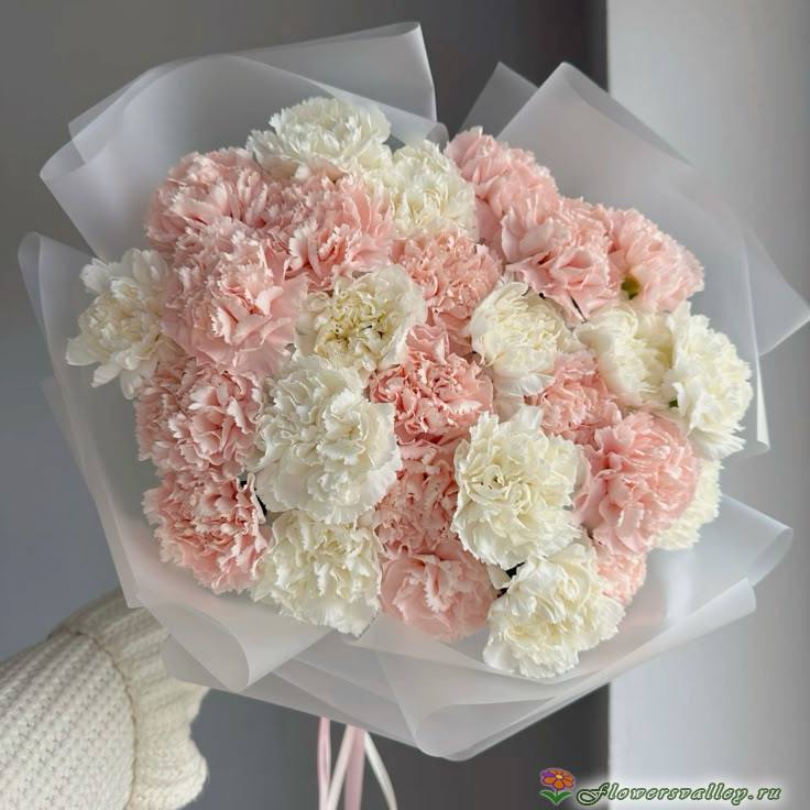 букет из розовой и белой гвоздики