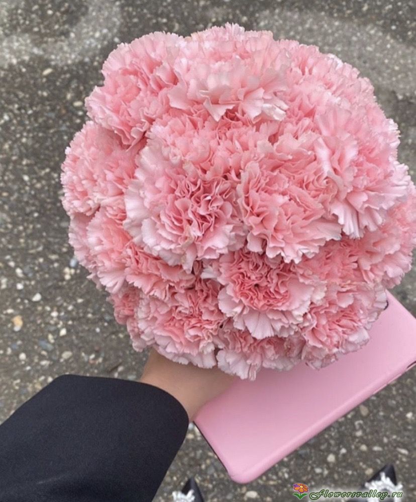 Букет невесты из розовых гвоздик 