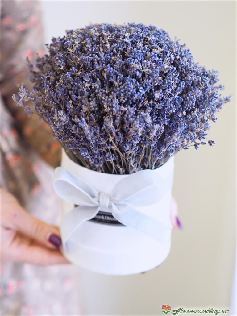 Лаванда в шляпной коробке