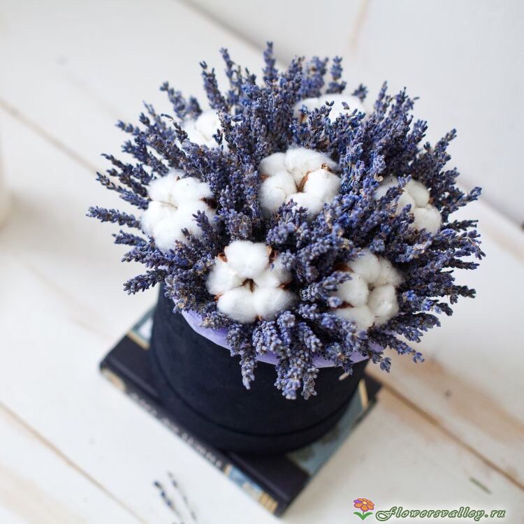 Лаванда в шляпной коробке с хлопком