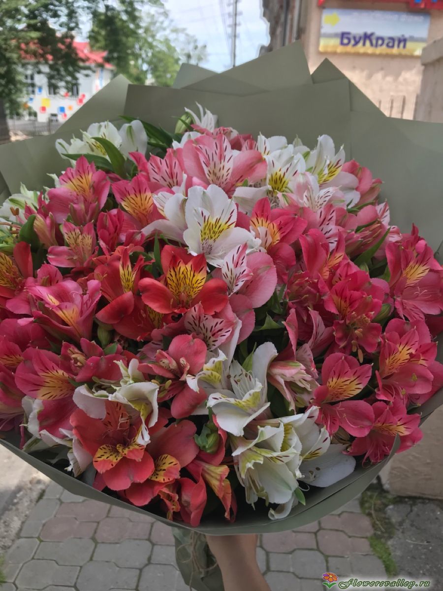 Букет из альстромерий