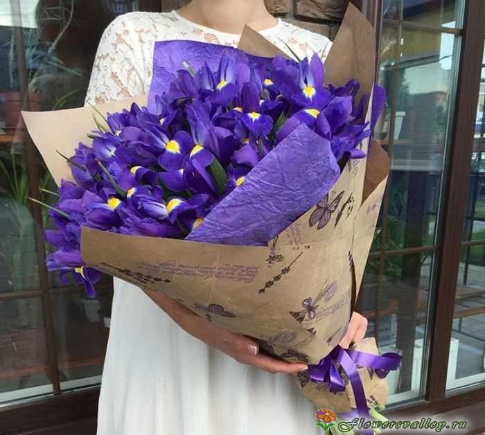 Букет ирисов 15 шт