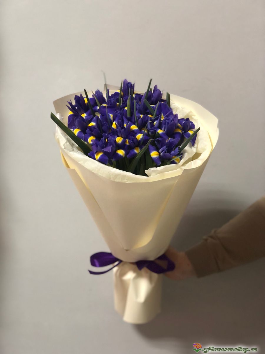 Букет ирисов 15 шт