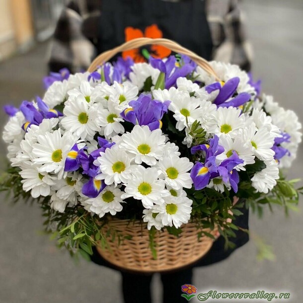 Корзина с белой хризантемой и ирисами