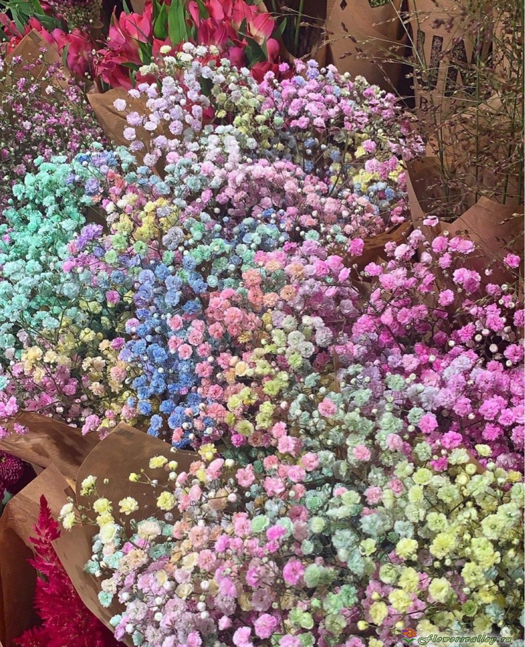 Букет из разноцветной гипсофилы