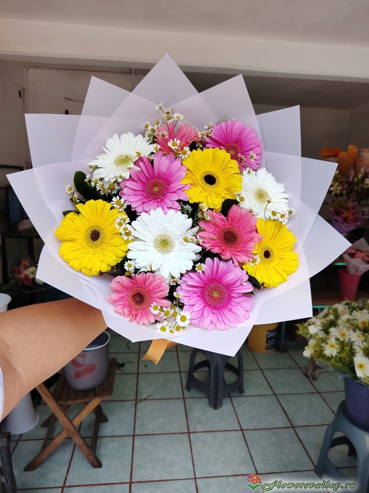 Букет из 11 гербер