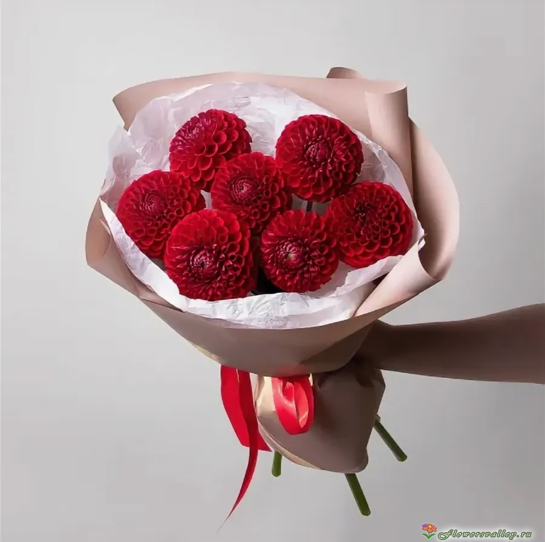 Букет из красных георгин, 7 шт.