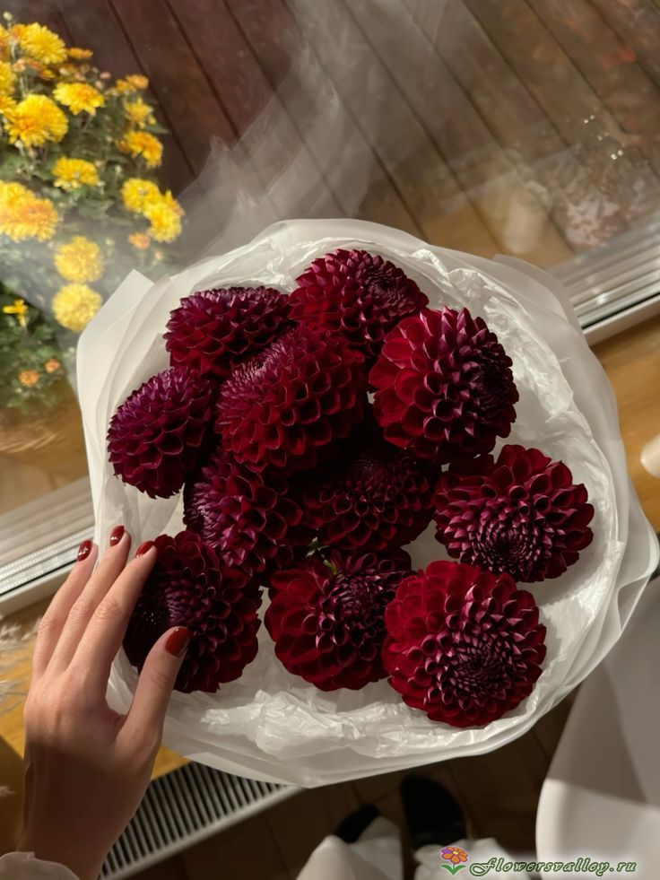 Букет из красных георгин