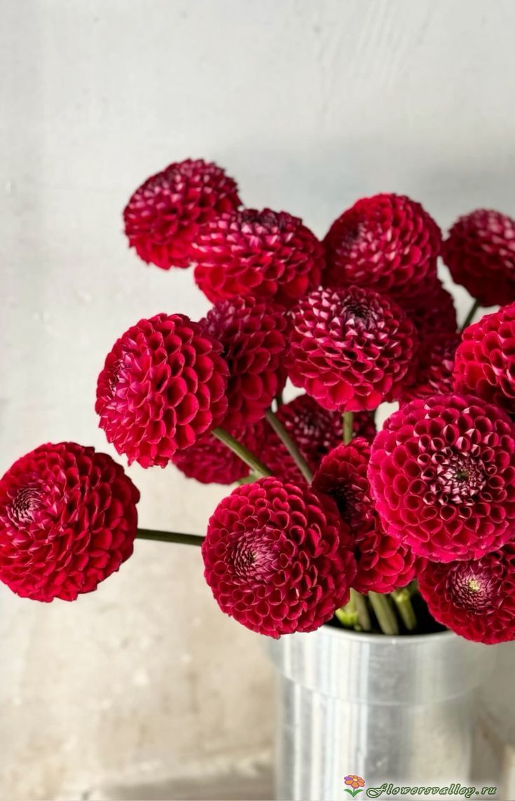 Букет из красных георгин