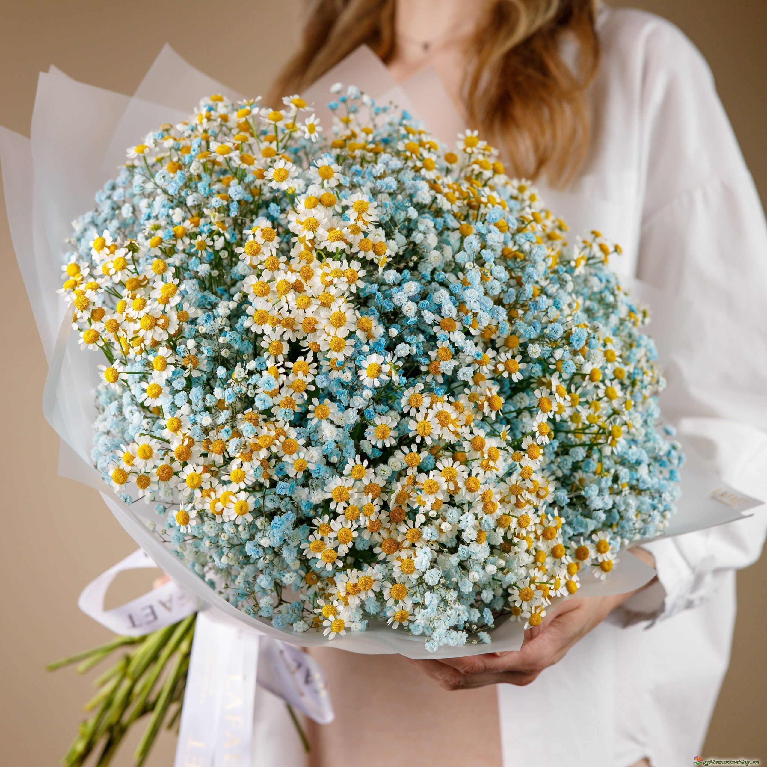 Букет из ромашек гипсофилы