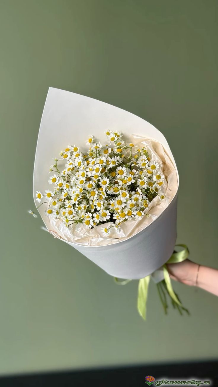 Букет из ромашек ( Tanacetum )