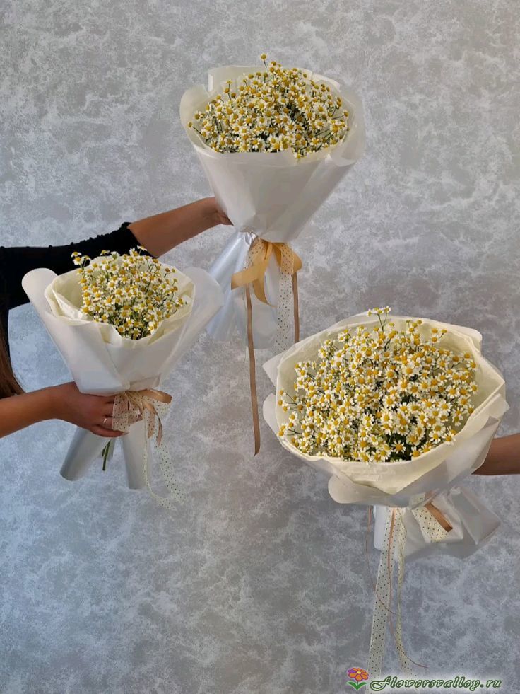 Букет из ромашек ( Tanacetum )