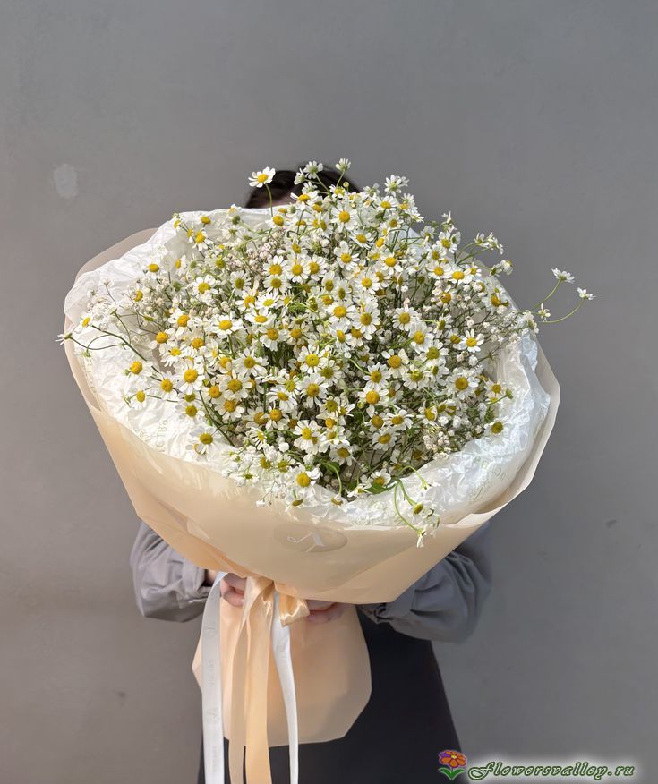 Букет из ромашек ( Tanacetum )