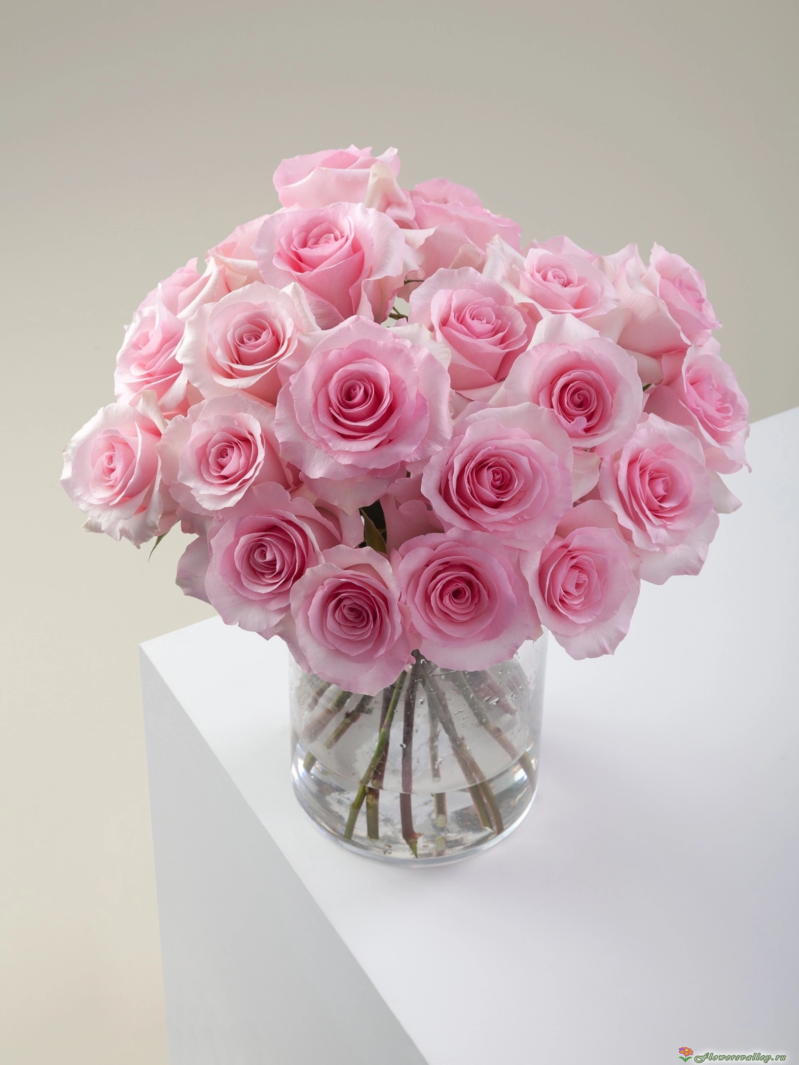 Букет из 15 роз Криста (сорт "Crista", пр-во Эквадор) фото 2