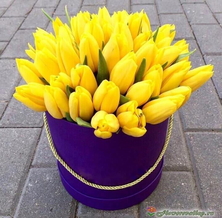 Тюльпаны желтые