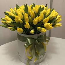 Тюльпаны желтые