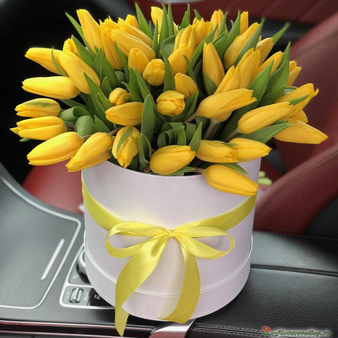 Тюльпаны желтые