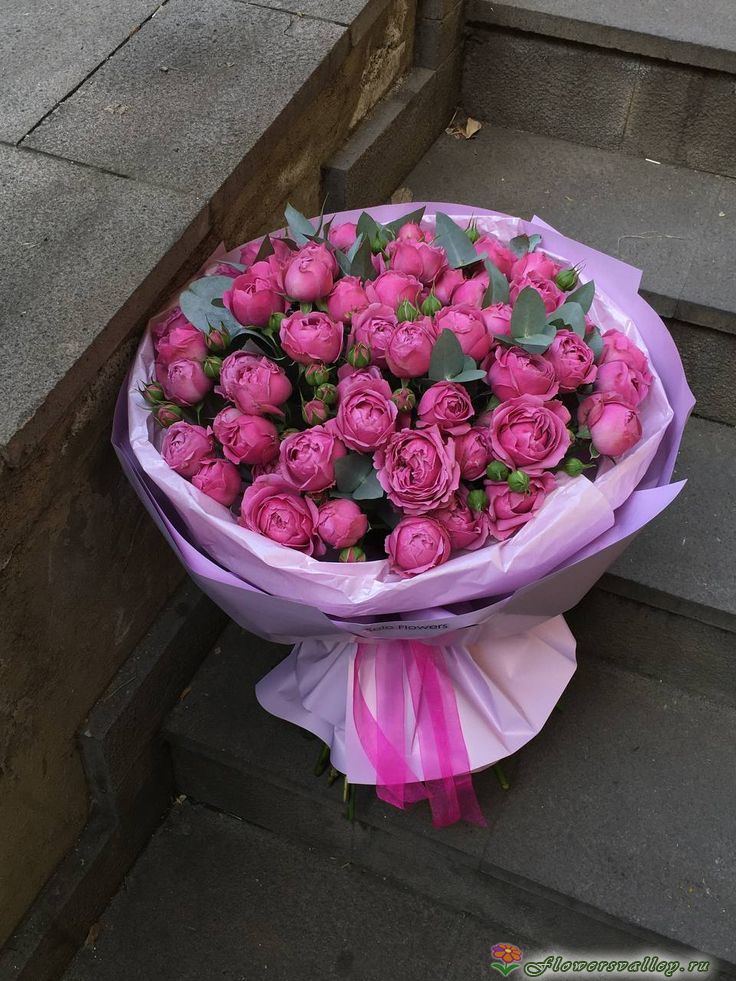 Букет из 25 пионовидных роз Мисти Баблс ( Misty Bubbles)