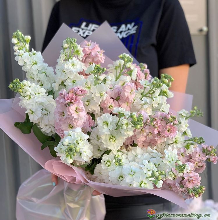 букет из маттиол